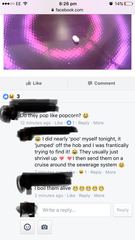 People using bleach to kill insects and bugs