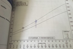 Growth scan