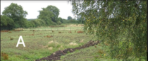 Flood defences damaged by neighbors