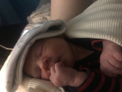 August 2018 #6 - Impending Births and The Final Push!