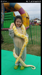 The Friendly Frugaleers - Furtively planning Christmas, as August arrives