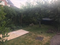 Help me makeover my front garden (please)
