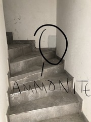 Home Extension Thread 2018 - summer edition