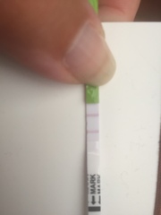 Opk help please