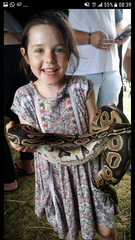 The Friendly Frugaleers - Furtively planning Christmas, as August arrives