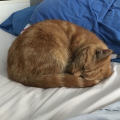 What's your DCat up to today? (Thread 7!)