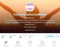 Transexual voices - twitter thread