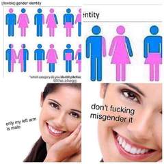 Share your favourite Gender Critical memes here!