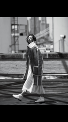 Les Parisiennes de Mamansnet: Orangutans in Paris make for poor gondoliers