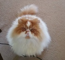 Share your happy wedding here