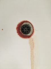 Help solve the mystery of the bloody bath.