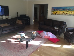 Help... awful lounge