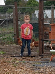 Allotment?Veg Patch Thread 13! Are we weathering the weather?