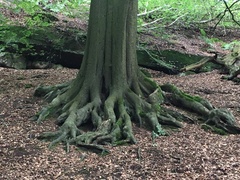 Any Witches Here ? Part 2