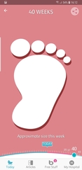 How many times does your baby move?