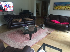 Help... awful lounge