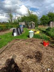 Allotment?Veg Patch Thread 13! Are we weathering the weather?