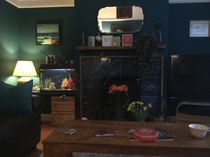 I need some inspiration - would anyone like to show me their living room?