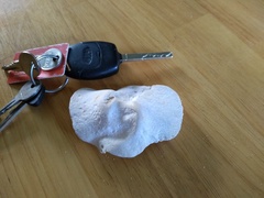 Bone found on beach- anyone ID it?