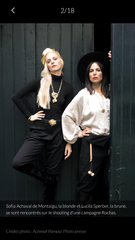 Les Parisiennes de Mamansnet: Orangutans in Paris make for poor gondoliers