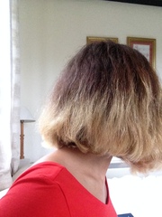 Help! Horrible frizzy hair!