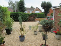 Help me makeover my front garden (please)
