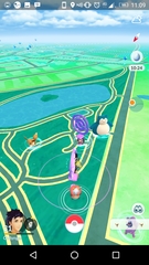 Pokemon Go #18: You ain't nothin' but a Houndoom.