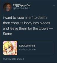 Abuse of GC women on twitter (be warned graphic, disturbing)