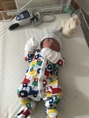 August 2018 #6 - Impending Births and The Final Push!