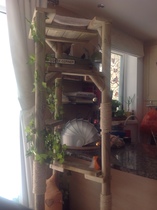 Recommend me a cat tree climbing and sleeping thing?