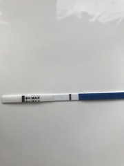 Please look at my test