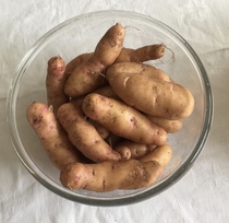 Allotment?Veg Patch Thread 13! Are we weathering the weather?