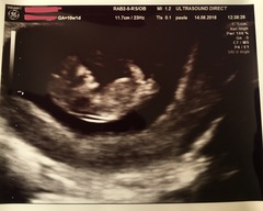 First pregnancy, looking for buddies..