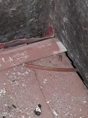 Does this look like dry rot spores to you?
