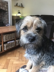 July book of the month: Why Mummy Swears by Gill Sims - Read and join the discussion and author webchat on Weds 5 September, 9pm.