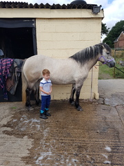 Less booze. More AF days. But still a bit damp. Not dry jan, but not a soggy summer. Support thread for reducing alcohol.