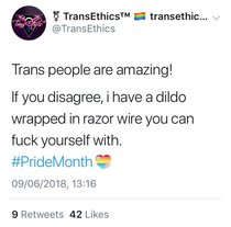 Collating evidence of threats against women, by TRAs.