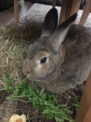 December 2018 Babies - Thread #4