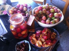 Allotment?Veg Patch Thread 13! Are we weathering the weather?