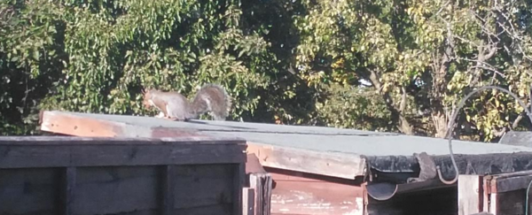 Westministenders: “No Deal is Better Than a Bad Deal?”