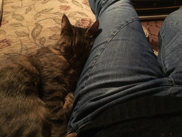 Does anyone else put up with this?