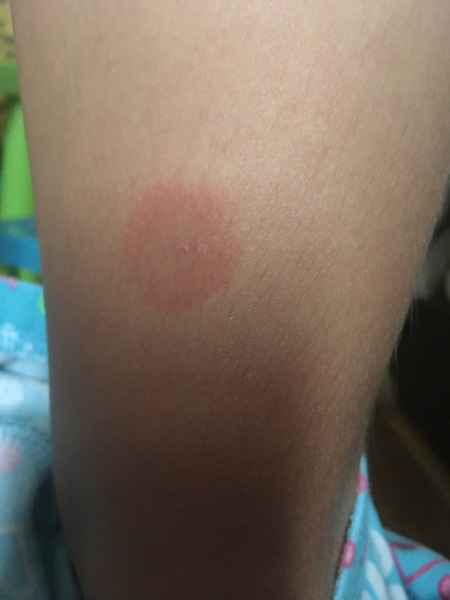 What could this be? (Pic)