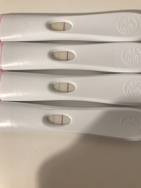 May 2019 (or late April 2019) due date