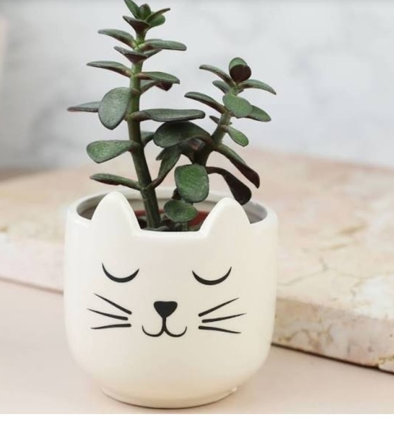 do you think this is cute or slightly creepy?