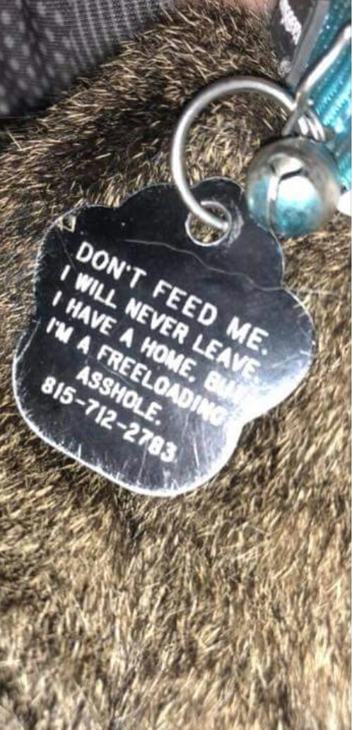 To leave neighbour who stole my cat a note