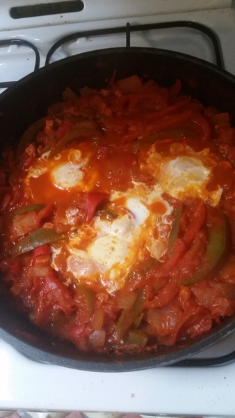 shakshuka has anyone made it?