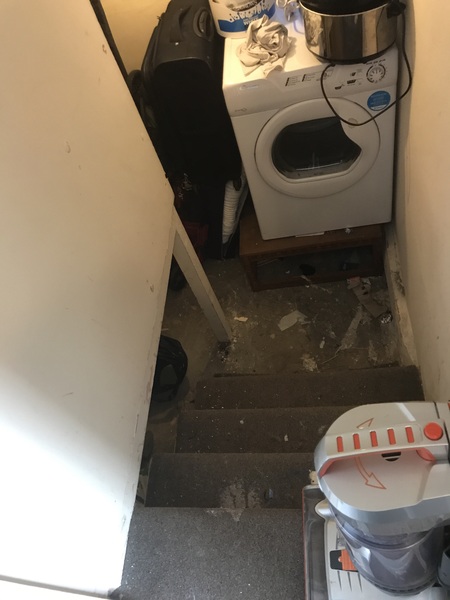 Small cellar- what to do with it?