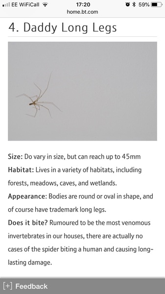 Sodding spiders