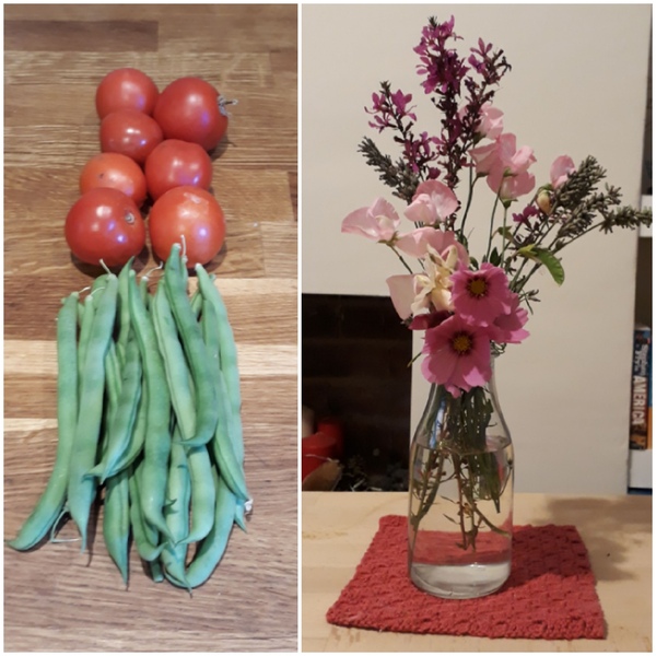 Allotment?Veg Patch Thread 13! Are we weathering the weather?