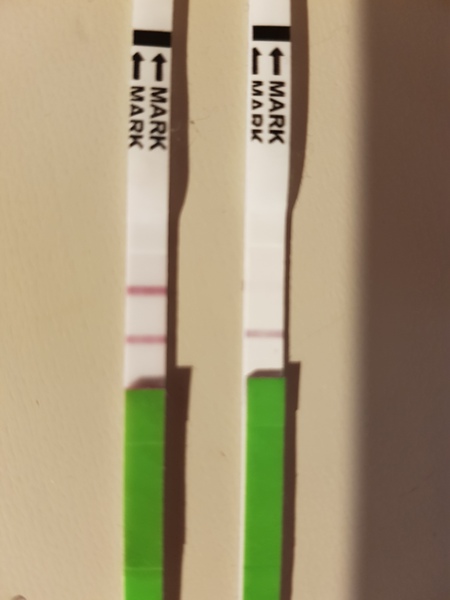 TTC after pregnancy loss - thread 25 BFPs for all!